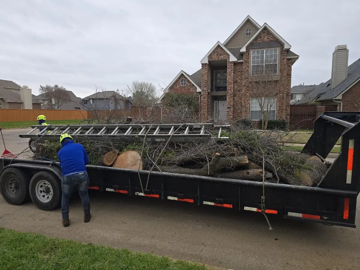 Expert Tree Removal with proper safety equipment in Northford